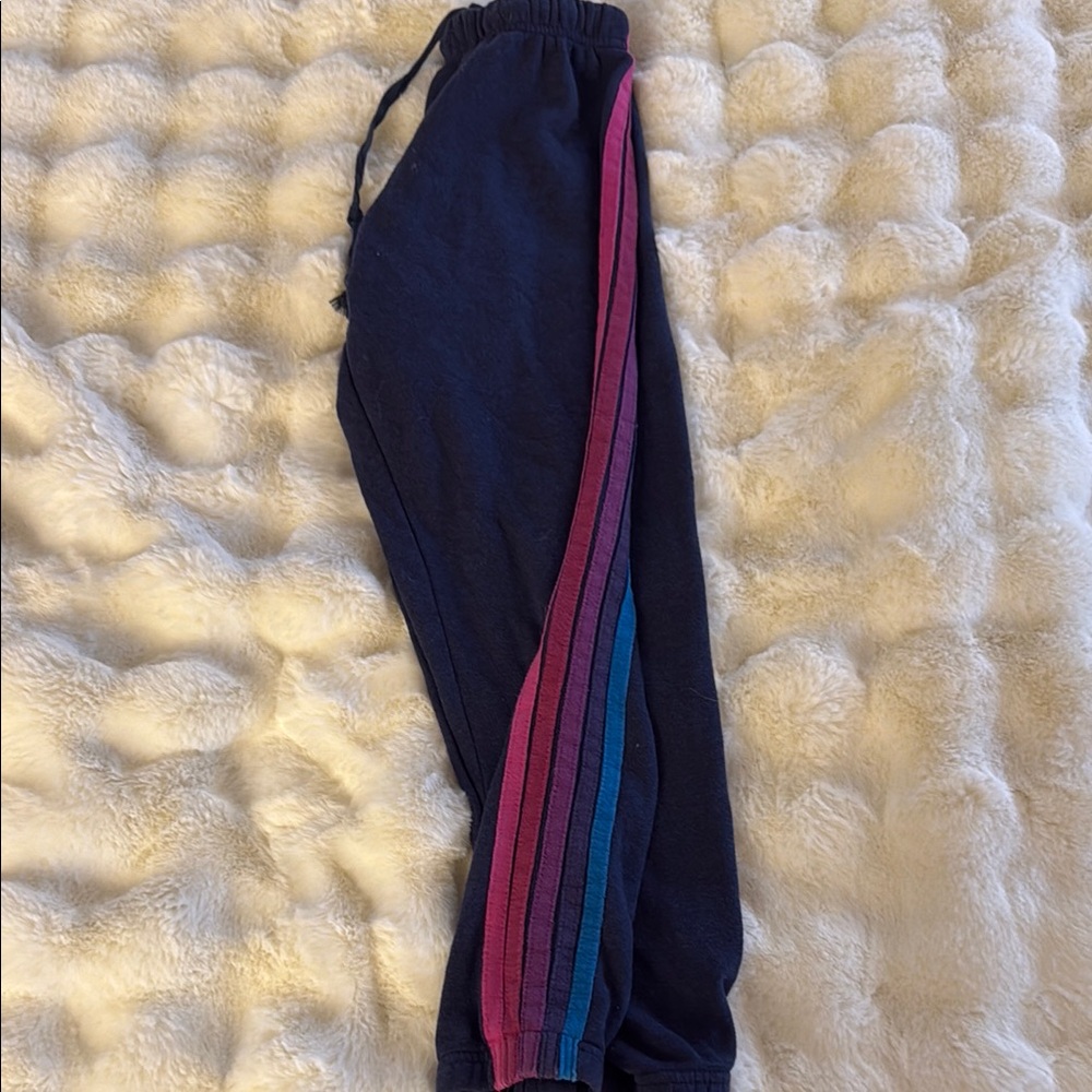 Aviator Nation navy Sweatpants with Stripes